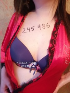 Проститутка Павлодара Анкета №245486 Фотография №2128027